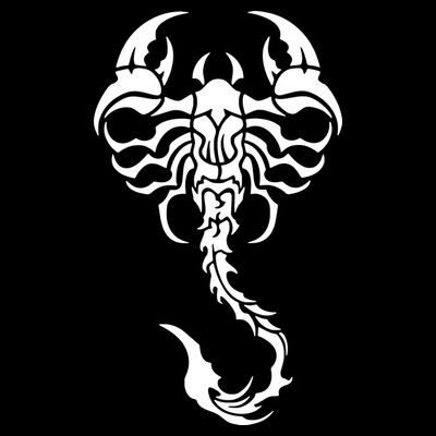 White Scorpion T-Shirt