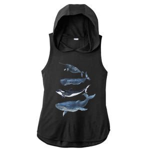 Whales Species Watercolor Whales Cool Gift Ladies PosiCharge Tri-Blend Wicking Draft Hoodie Tank