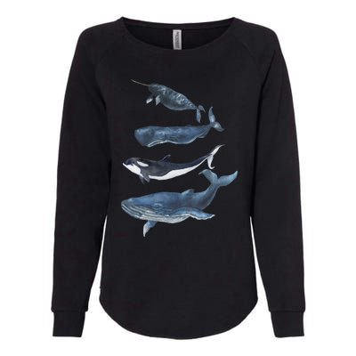 Whales Species Watercolor Whales Cool Gift Womens California Wash Sweatshirt