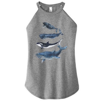 Whales Species Watercolor Whales Cool Gift Women’s Perfect Tri Rocker Tank