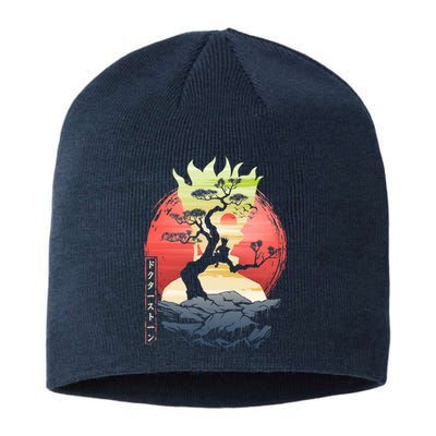 World Stones Sustainable Beanie