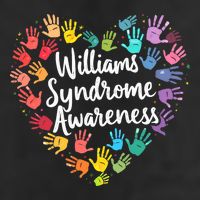Williams Syndrome Warrior Awareness Adult Drive Performance Visor