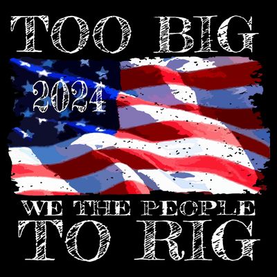 Women Trump 2024 Too Big To Rig Funny Quote Vneck T-Shirt