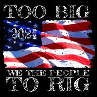 Women Trump 2024 Too Big To Rig Funny Quote Vneck Kids Hoodie