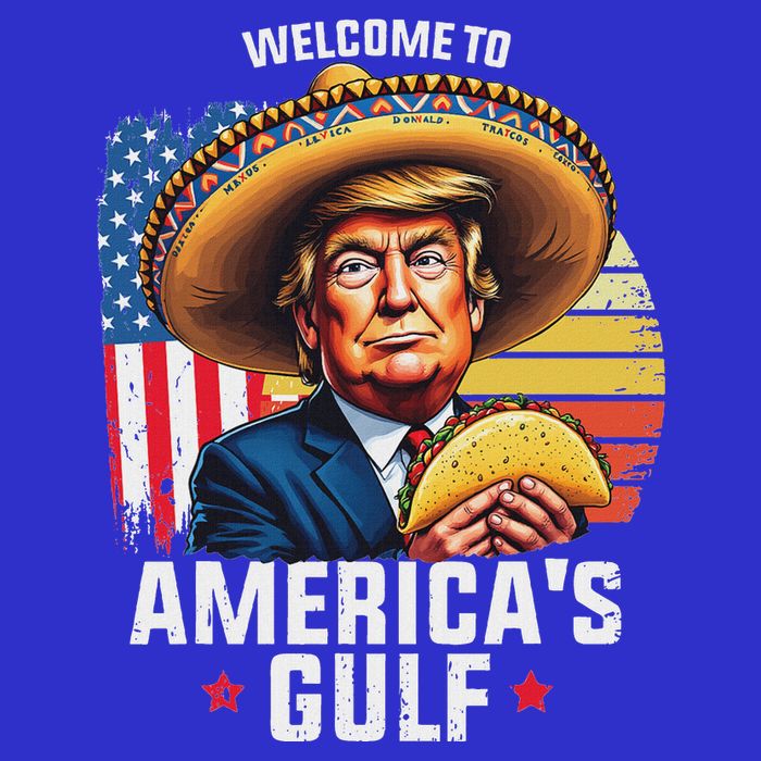 Welcome To AmericaS Gulf Hoodie