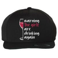 Warning The Are Drinking Again Wine Glass Funny Wool Snapback Cap