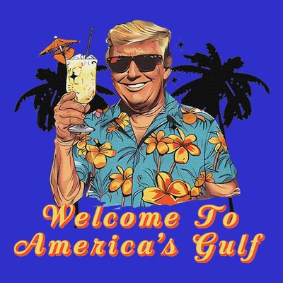 Welcome To AmericaS Gulf Funny Trump Beach Cruise T-Shirt