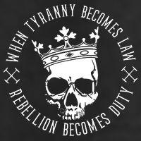 When Tyranny Becomes Law Adult Drive Performance Visor