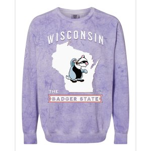 Wisconsin The Badger State Established 1848 Colorblast Crewneck Sweatshirt