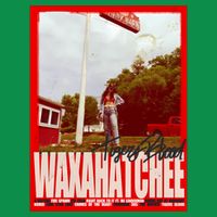 Waxahatchee Tigers Blood Design T-Shirt