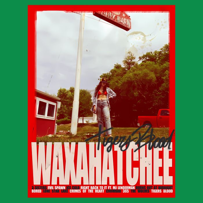 Waxahatchee Tigers Blood Design T-Shirt
