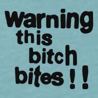 Warning This Bitch Bites Sueded Cloud Jersey T-Shirt