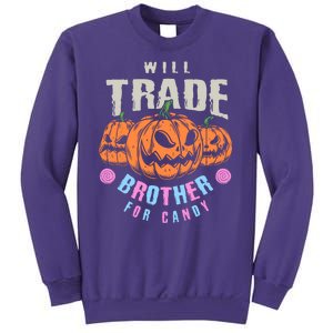 Will Trade Brother For Candy Funny Halloween Shirt Sweatshirt