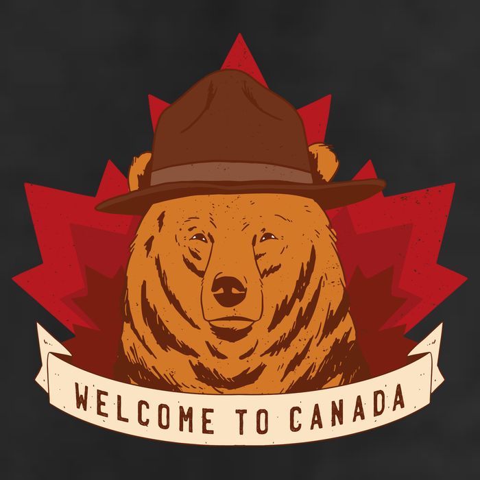 Welcome To Canada Maple Leaf Bear Adult Drive Performance Visor