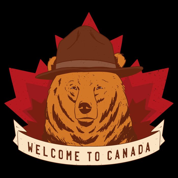 Welcome To Canada Maple Leaf Bear Bucket Hat