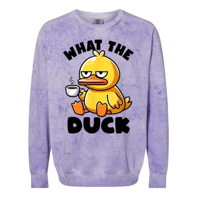 What The Duck Owner I Love Ducks Lover Funny Rubber Duck Colorblast Crewneck Sweatshirt