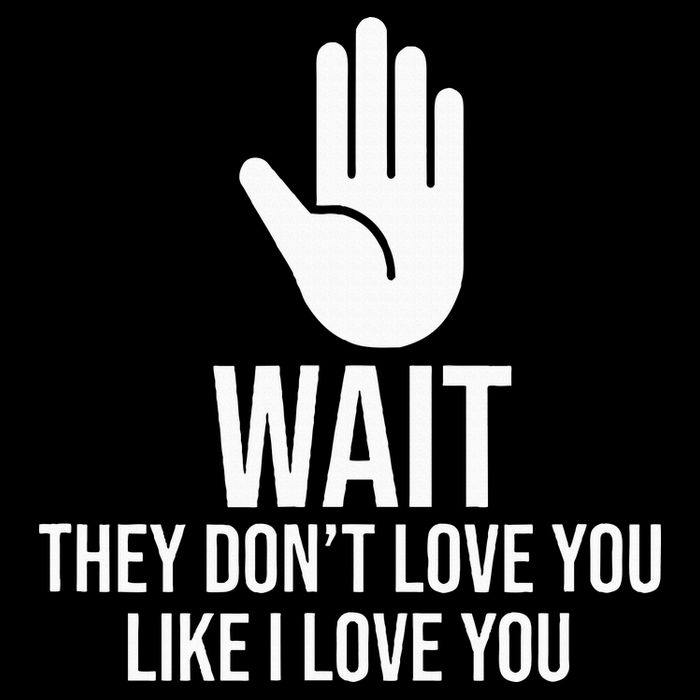 Wait They Don’T Love You Like I Love You Cool Cooling Performance Crew T-Shirt