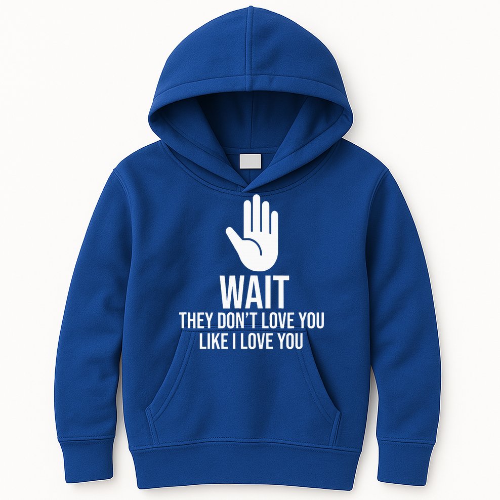 Wait They Don’T Love You Like I Love You Cool Kids Hoodie