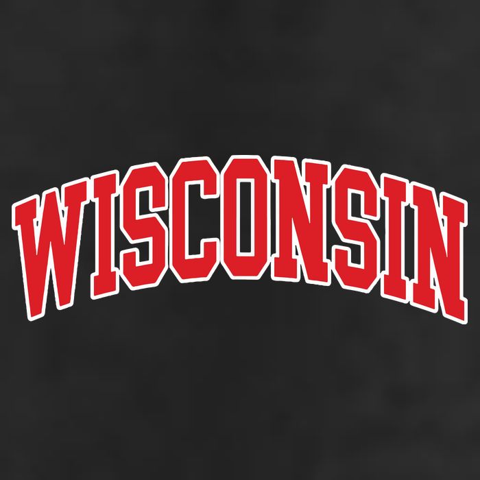 Wisconsin Throwback Design Classic Adult Drive Performance Visor