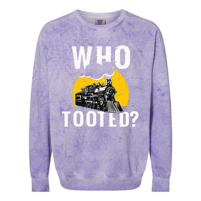 Who Tooted Funny Train Lover Cute Model Railroad Conductor Colorblast Crewneck Sweatshirt