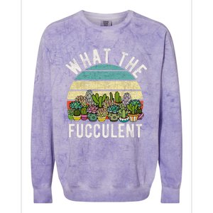 What The Fucculent Cactus Succulent Pun Gardening Fun Colorblast Crewneck Sweatshirt