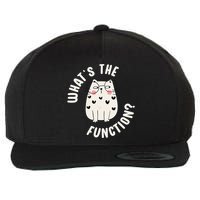 Whats The Function ABA Therapist Behavior Analyst Cat Lover Wool Snapback Cap