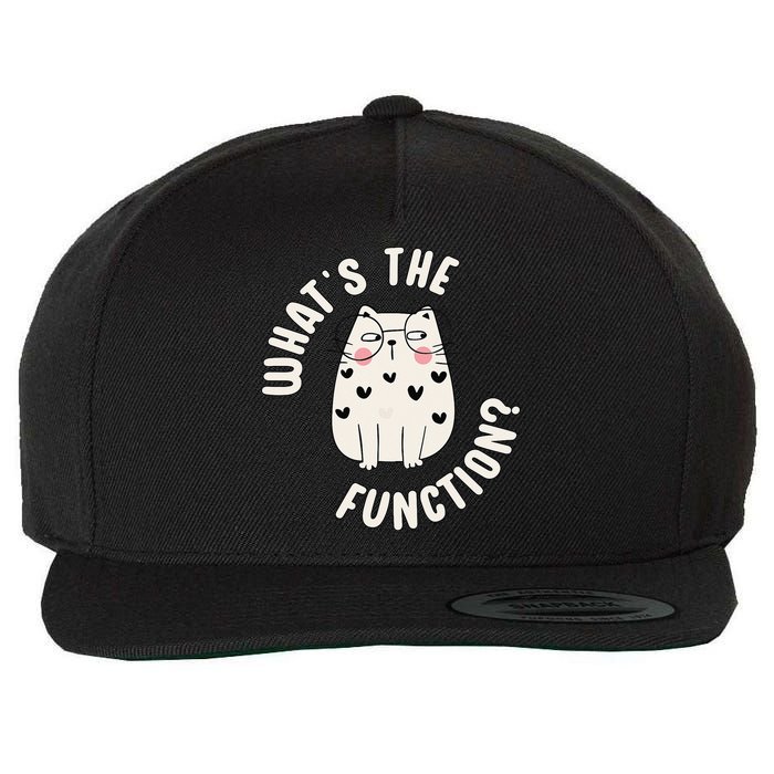 Whats The Function ABA Therapist Behavior Analyst Cat Lover Wool Snapback Cap