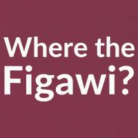 Where The Figawi 16oz Travel Tumbler
