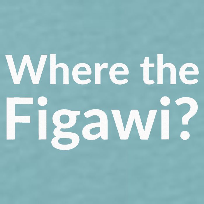 Where The Figawi Sueded Cloud Jersey T-Shirt