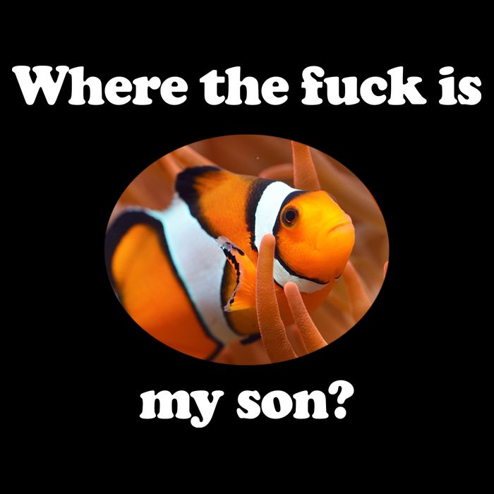 Where The Fuck Is My Son Funny Clownfish Women's Knotted Racerback Tank