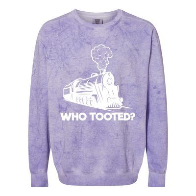 Who Tooted Funny Train Lovers & Railroad Model Trains Colorblast Crewneck Sweatshirt