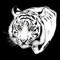 White Tiger Face 16 in Basic Backpack