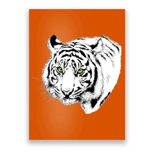 White Tiger Face Poster