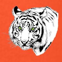 White Tiger Face Womens T-Shirt