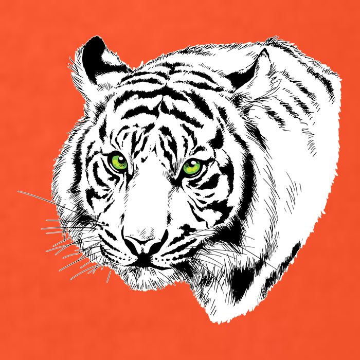 White Tiger Face Womens T-Shirt