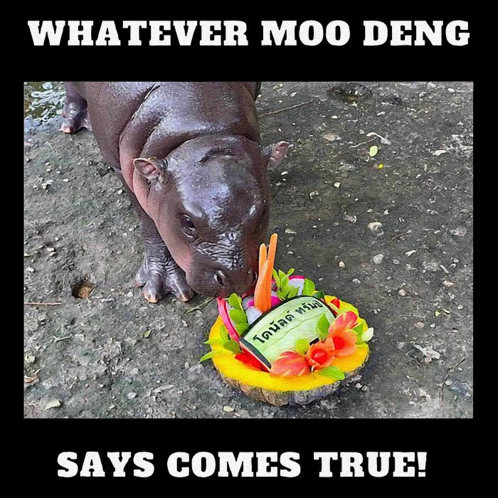 Won Thank God Trump Hippo Moo Deng Prediction Greatest Sustainable Bucket Hat