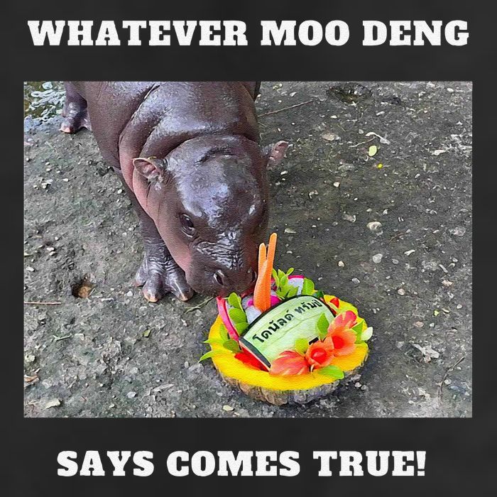 Won Thank God Trump Hippo Moo Deng Prediction Greatest Adult Drive Performance Visor