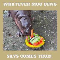 Won Thank God Trump Hippo Moo Deng Prediction Greatest Button