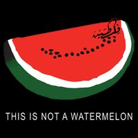 Watermelon This Is Not A Watermelon Palestine Collection 16 in Basic Backpack
