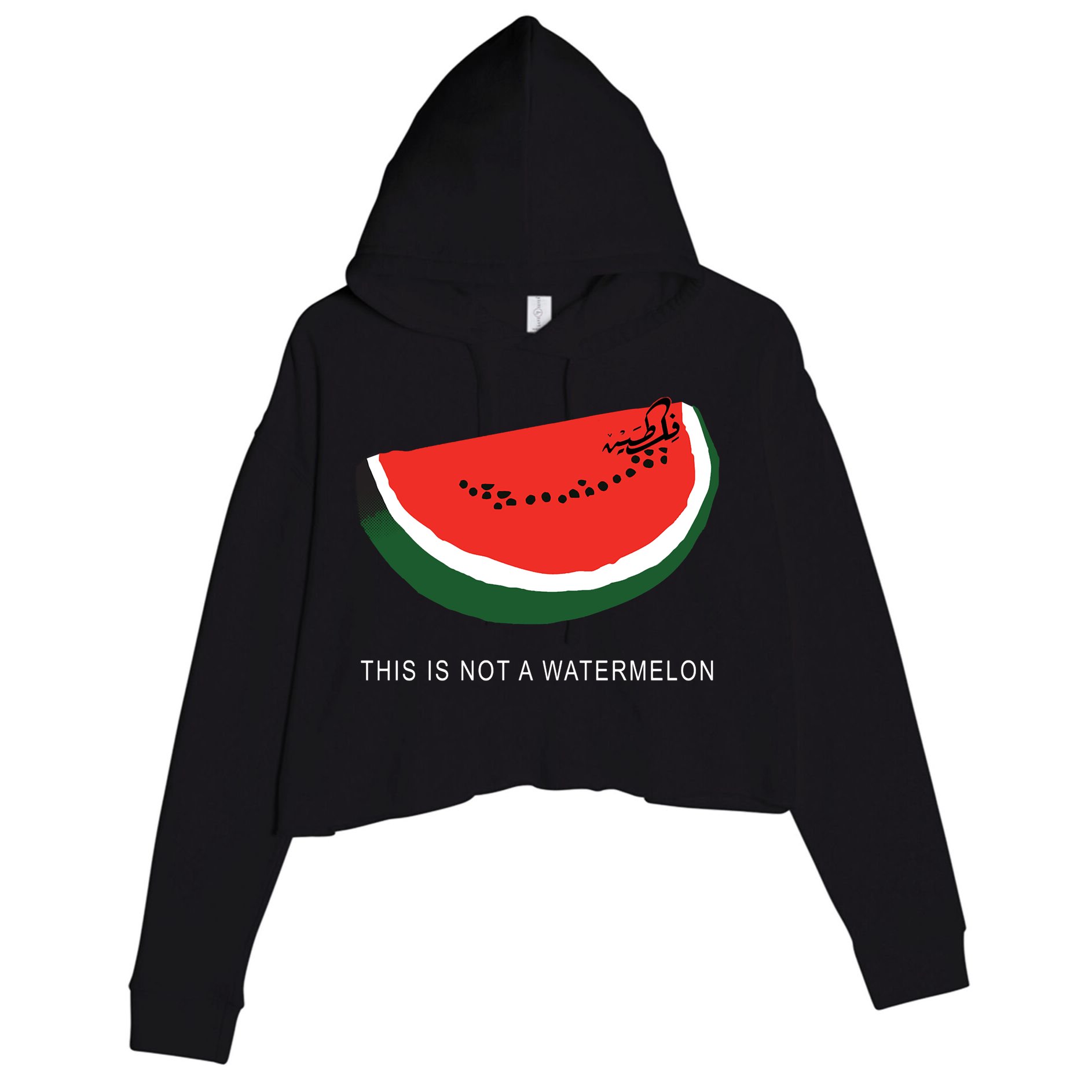Watermelon This Is Not A Watermelon Palestine Collection Crop Fleece Hoodie
