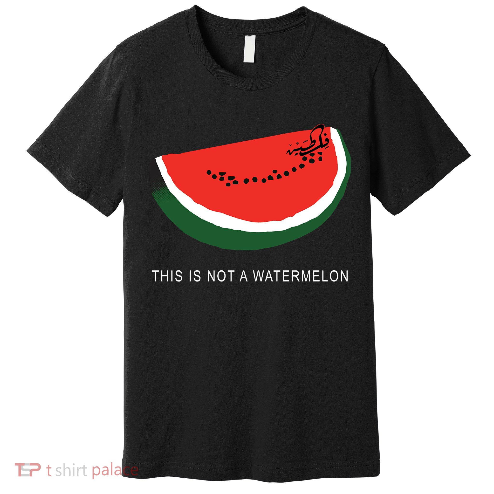 Watermelon This Is Not A Watermelon Palestine Collection Premium T-Shirt
