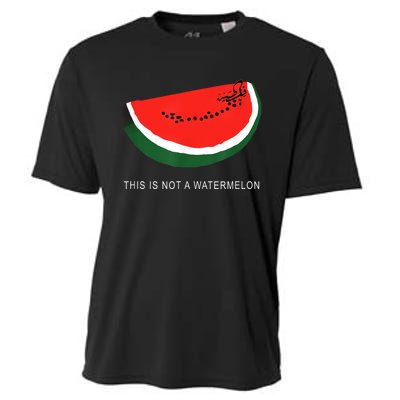 Watermelon This Is Not A Watermelon Palestine Collection Cooling Performance Crew T-Shirt