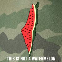 Watermelon This Is Not A Watermelon Palestine Collection Legacy Tie Dye Trucker Hat