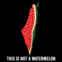 Watermelon This Is Not A Watermelon Palestine Collection Flexfit Unipanel Trucker Cap