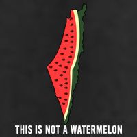 Watermelon This Is Not A Watermelon Palestine Collection Adult Drive Performance Visor