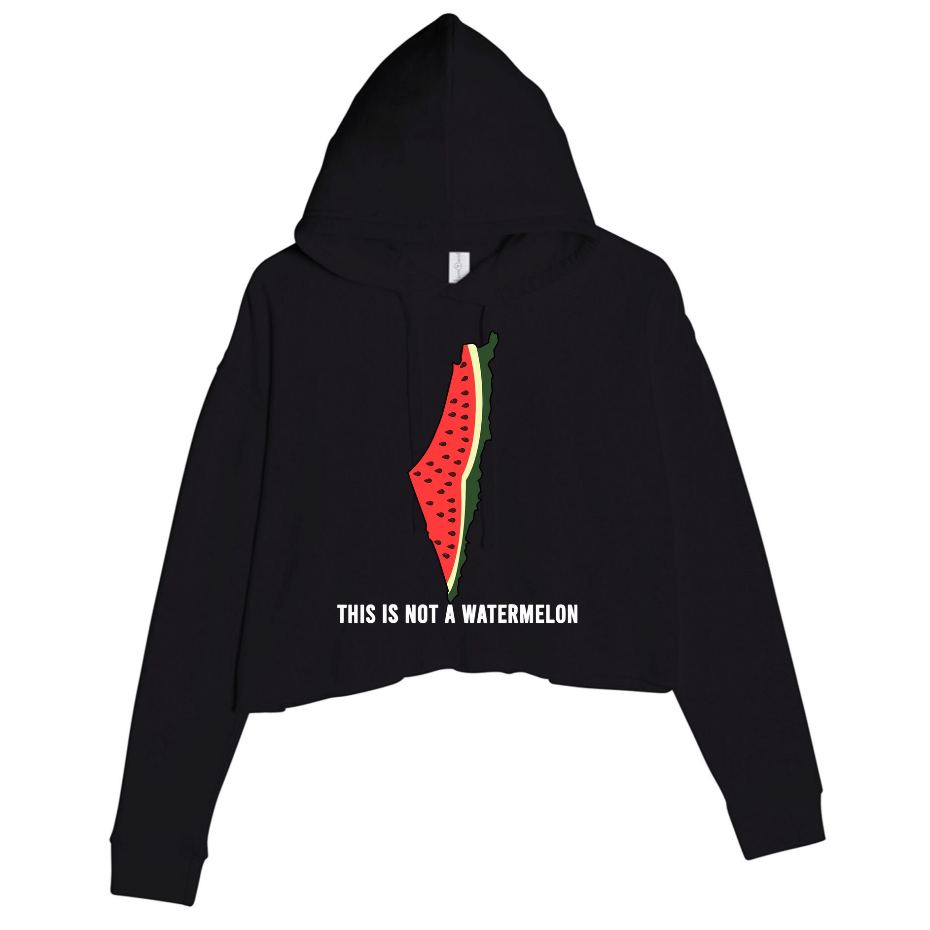 Watermelon This Is Not A Watermelon Palestine Collection Crop Fleece Hoodie