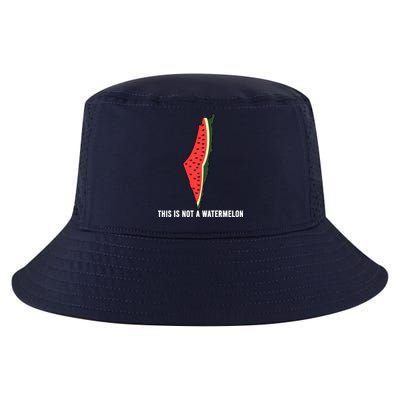 Watermelon This Is Not A Watermelon Palestine Collection Cool Comfort Performance Bucket Hat