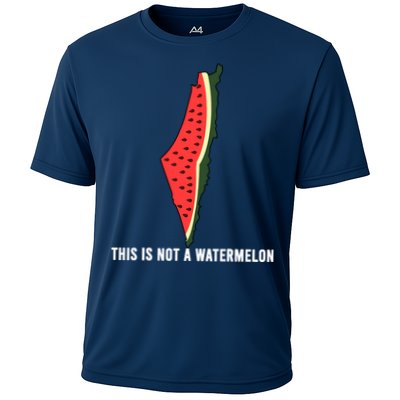 Watermelon This Is Not A Watermelon Palestine Collection Performance Shirt
