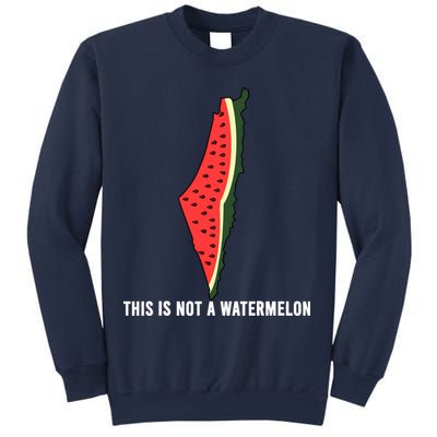 Watermelon This Is Not A Watermelon Palestine Collection Sweatshirt