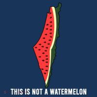 Watermelon This Is Not A Watermelon Palestine Collection T-Shirt